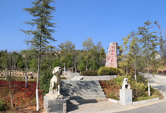 昆明青龙艺术陵园图片12