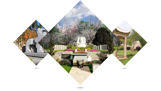 性价比高,价格实惠